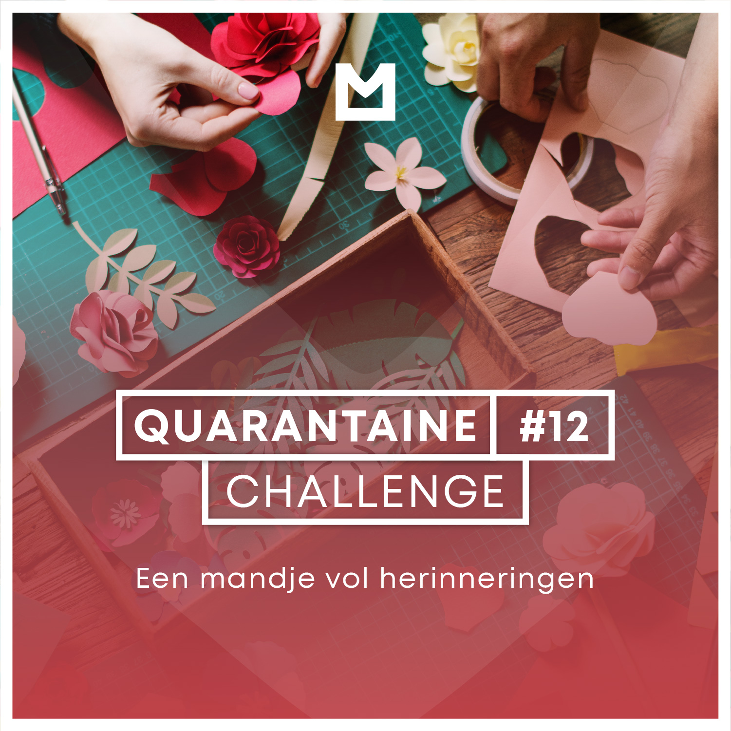 Mvdv_QuarantaineChallenge_MandjeVolHerinneringen Quarantaine Challenge #12 - Een mandje vol herinneringen